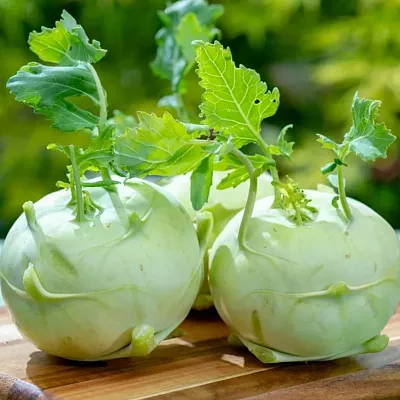 Капуста кольраби